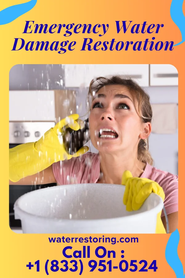 Emergency Water Damage Restoration in High Rolls, NM