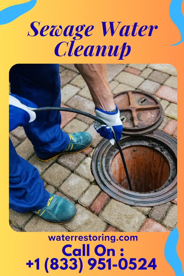 Sewage Water Cleanup in High Rolls, NM